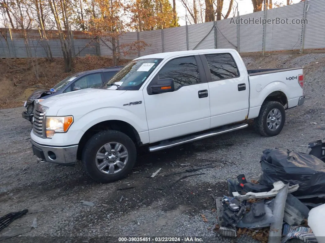 2010 Ford F-150 Fx4/harley-davidson/king Ranch/lariat/platinum/xl/xlt White vin: 1FTFW1EV0AFC69665