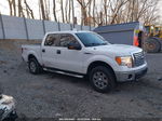 2010 Ford F-150 Fx4/harley-davidson/king Ranch/lariat/platinum/xl/xlt White vin: 1FTFW1EV0AFC69665