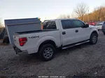 2010 Ford F-150 Fx4/harley-davidson/king Ranch/lariat/platinum/xl/xlt White vin: 1FTFW1EV0AFC69665