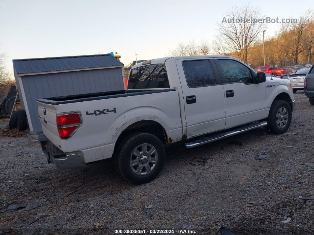 2010 Ford F-150 Fx4/harley-davidson/king Ranch/lariat/platinum/xl/xlt White vin: 1FTFW1EV0AFC69665