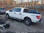 2010 Ford F-150 Fx4/harley-davidson/king Ranch/lariat/platinum/xl/xlt White vin: 1FTFW1EV0AFC69665