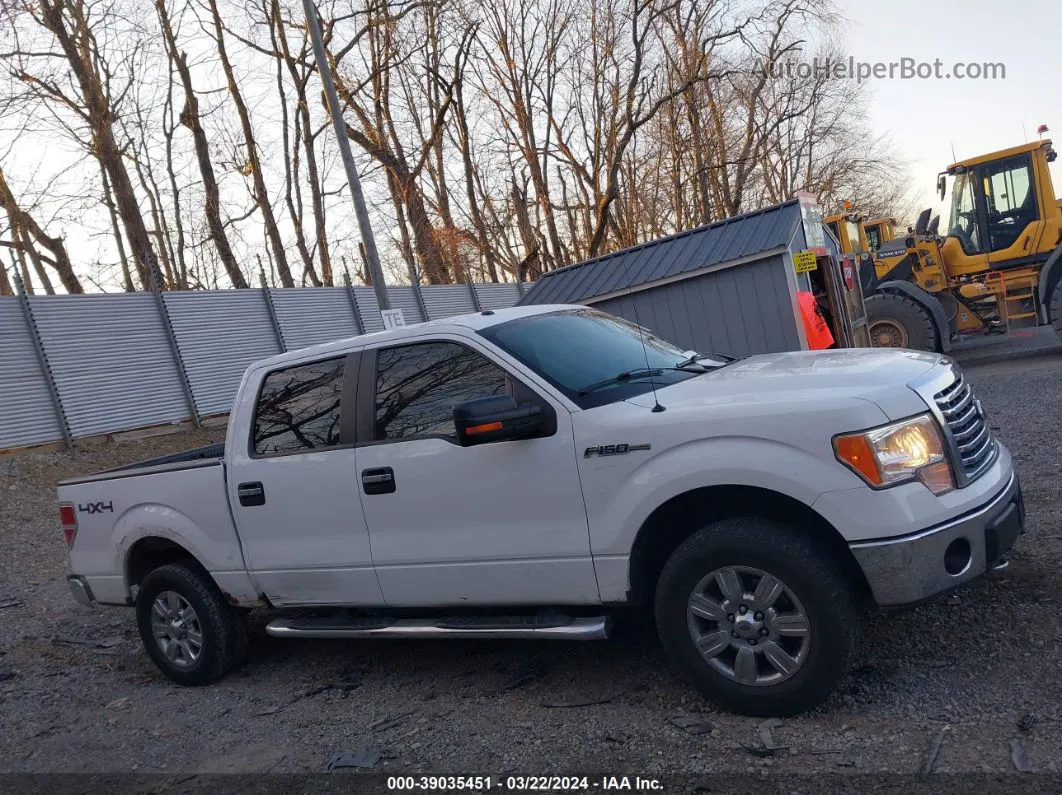 2010 Ford F-150 Fx4/harley-davidson/king Ranch/lariat/platinum/xl/xlt White vin: 1FTFW1EV0AFC69665