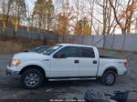 2010 Ford F-150 Fx4/harley-davidson/king Ranch/lariat/platinum/xl/xlt White vin: 1FTFW1EV0AFC69665