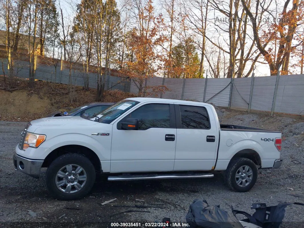 2010 Ford F-150 Fx4/harley-davidson/king Ranch/lariat/platinum/xl/xlt White vin: 1FTFW1EV0AFC69665