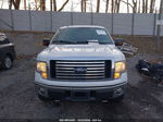 2010 Ford F-150 Fx4/harley-davidson/king Ranch/lariat/platinum/xl/xlt White vin: 1FTFW1EV0AFC69665