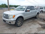 2010 Ford F-150 Fx4/harley-davidson/king Ranch/lariat/platinum/xl/xlt Серебряный vin: 1FTFW1EV1AFA23014