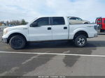 2010 Ford F-150   White vin: 1FTFW1EV1AFA33395