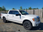 2010 Ford F-150 Fx4/harley-davidson/king Ranch/lariat/platinum/xl/xlt White vin: 1FTFW1EV1AFA42159