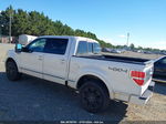 2010 Ford F-150 Fx4/harley-davidson/king Ranch/lariat/platinum/xl/xlt White vin: 1FTFW1EV1AFA42159