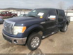 2010 Ford F-150 Lariat/fx4/xl/xlt Blue vin: 1FTFW1EV1AFA96979