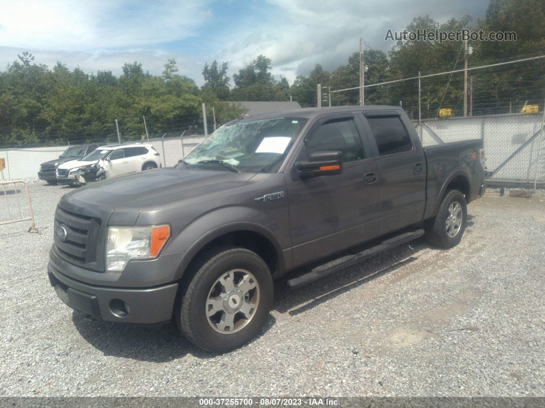 2010 Ford F-150 Xl/xlt/fx4/lariat Gray vin: 1FTFW1EV1AFC36268