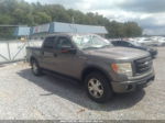 2010 Ford F-150 Xl/xlt/fx4/lariat Gray vin: 1FTFW1EV1AFC36268