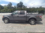 2010 Ford F-150 Xl/xlt/fx4/lariat Gray vin: 1FTFW1EV1AFC36268