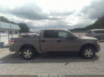 2010 Ford F-150 Xl/xlt/fx4/lariat Gray vin: 1FTFW1EV1AFC36268