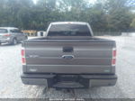 2010 Ford F-150 Xl/xlt/fx4/lariat Gray vin: 1FTFW1EV1AFC36268