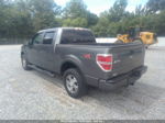 2010 Ford F-150 Xl/xlt/fx4/lariat Gray vin: 1FTFW1EV1AFC36268