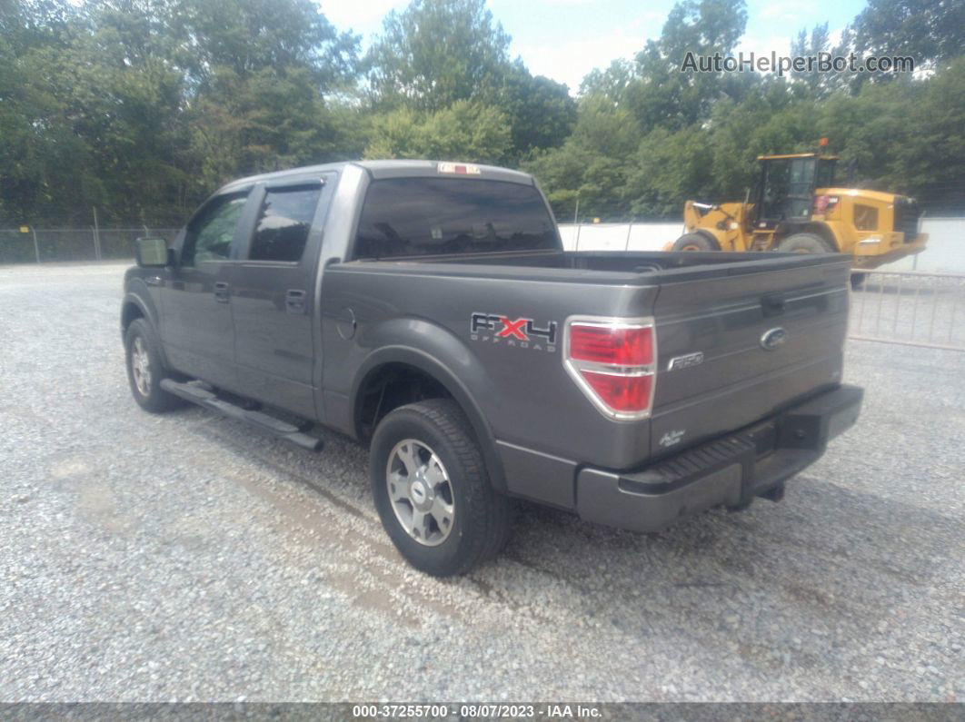 2010 Ford F-150 Xl/xlt/fx4/lariat Gray vin: 1FTFW1EV1AFC36268