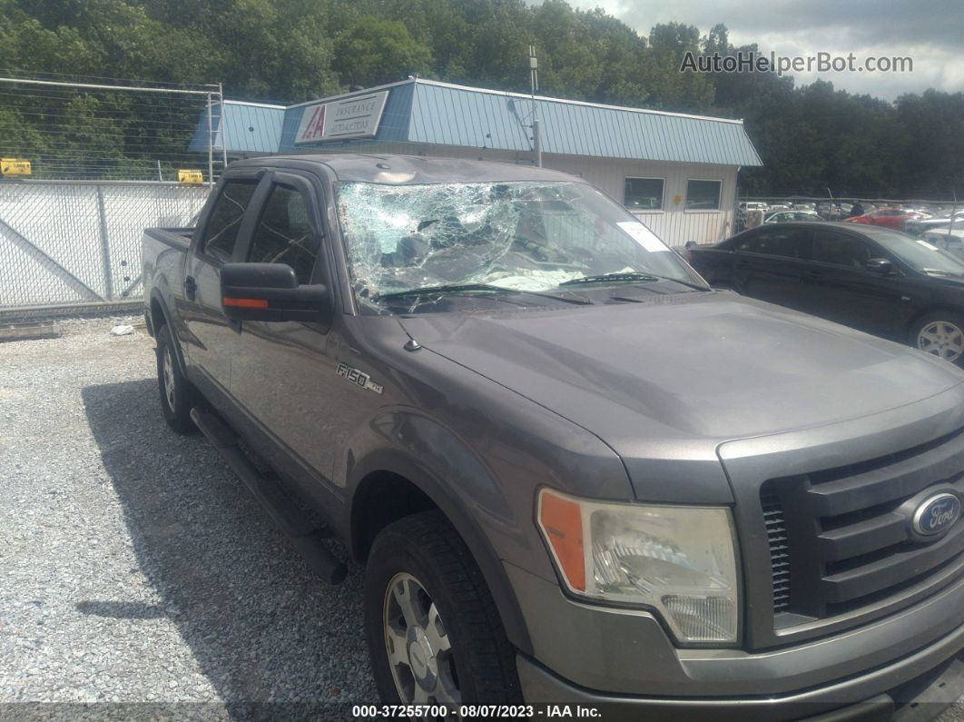 2010 Ford F-150 Xl/xlt/fx4/lariat Gray vin: 1FTFW1EV1AFC36268