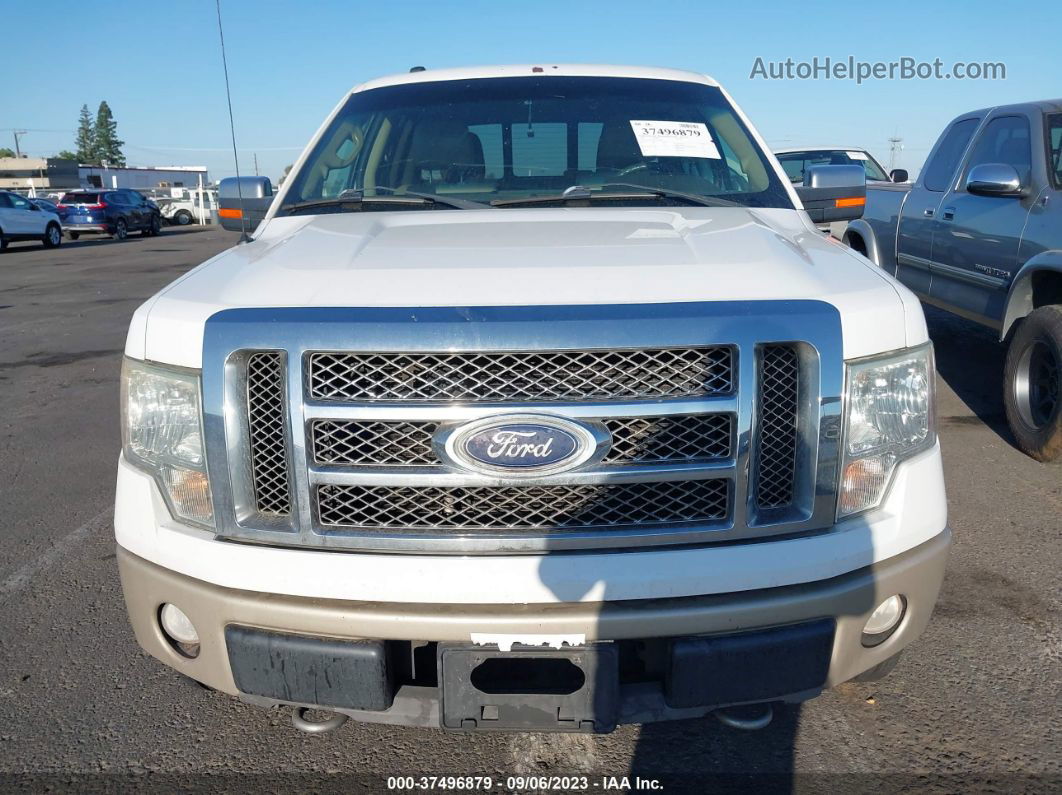 2010 Ford F-150 Xl/xlt/fx4/lariat White vin: 1FTFW1EV1AFD26049