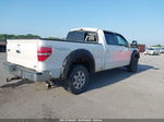 2010 Ford F-150 Xl/xlt/fx4/lariat White vin: 1FTFW1EV1AFD46835