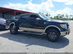 2010 Ford F-150 Xl/xlt/fx4/lariat Black vin: 1FTFW1EV1AKB98113