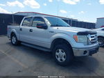 2010 Ford F-150 Fx4/harley-davidson/king Ranch/lariat/platinum/xl/xlt Silver vin: 1FTFW1EV1AKC01866