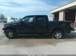 2010 Ford F-150 Xl/xlt/fx4/lariat Черный vin: 1FTFW1EV1AKE18267