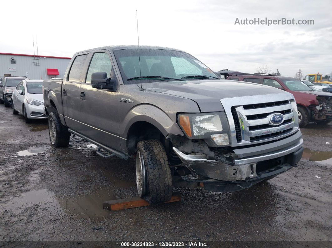 2010 Ford F-150 Lariat/fx4/xl/xlt Gray vin: 1FTFW1EV2AFC36652