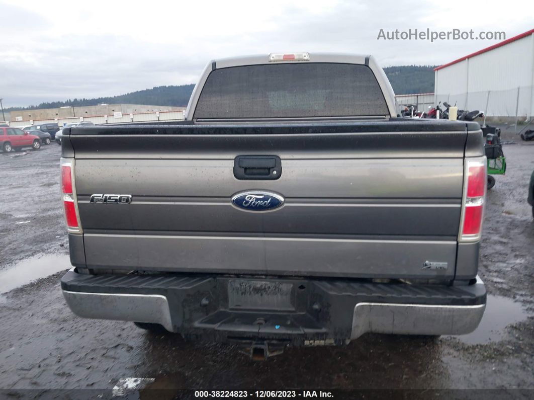 2010 Ford F-150 Lariat/fx4/xl/xlt Gray vin: 1FTFW1EV2AFC36652