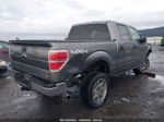 2010 Ford F-150 Lariat/fx4/xl/xlt Gray vin: 1FTFW1EV2AFC36652