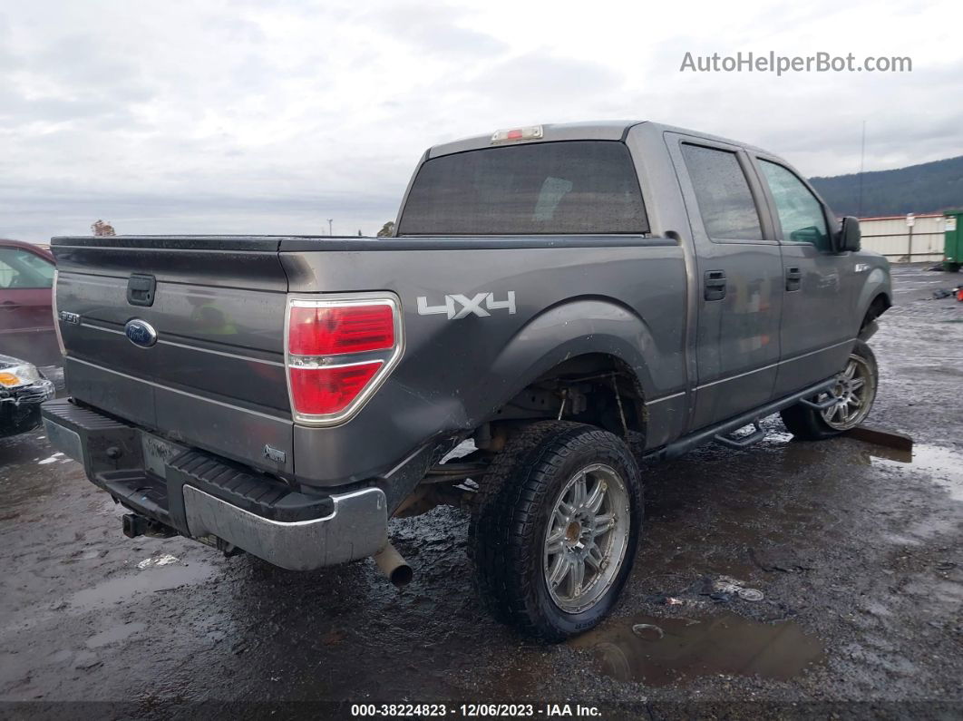 2010 Ford F-150 Lariat/fx4/xl/xlt Gray vin: 1FTFW1EV2AFC36652