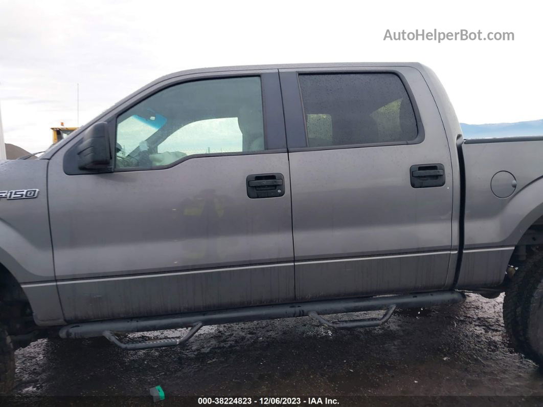 2010 Ford F-150 Lariat/fx4/xl/xlt Gray vin: 1FTFW1EV2AFC36652