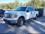 2010 Ford F-150 Xl/xlt/fx4/lariat White vin: 1FTFW1EV2AKA22171