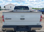 2010 Ford F-150 Fx4/harley-davidson/king Ranch/lariat/platinum/xl/xlt White vin: 1FTFW1EV2AKA26575