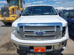 2010 Ford F-150 Fx4/harley-davidson/king Ranch/lariat/platinum/xl/xlt White vin: 1FTFW1EV2AKA26575