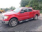 2010 Ford F-150 Xl/xlt/fx4/lariat Красный vin: 1FTFW1EV2AKA38368