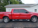 2010 Ford F-150 Xl/xlt/fx4/lariat Red vin: 1FTFW1EV2AKA38368