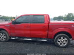 2010 Ford F-150 Xl/xlt/fx4/lariat Red vin: 1FTFW1EV2AKA38368