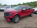 2010 Ford F-150 Fx4/harley-davidson/king Ranch/lariat/platinum/xl/xlt Red vin: 1FTFW1EV3AFA61375