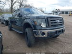 2010 Ford F-150 Fx4/harley-davidson/king Ranch/lariat/platinum/xl/xlt Black vin: 1FTFW1EV3AFB50847