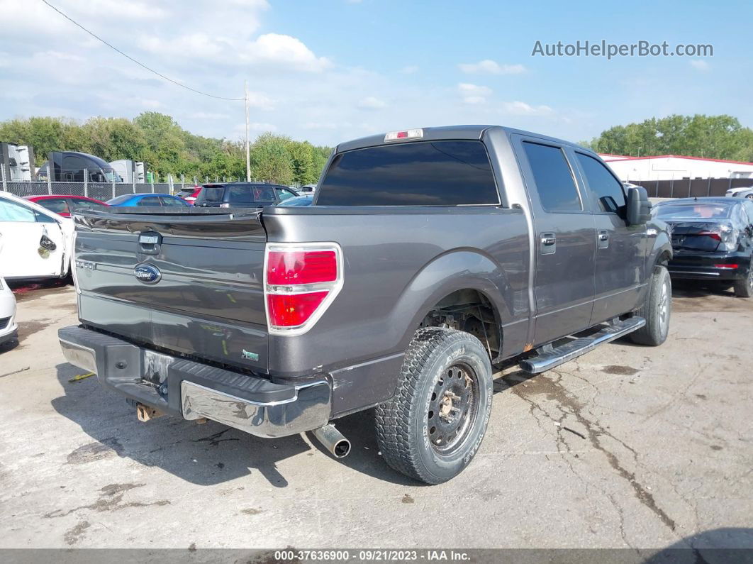 2010 Ford F-150 Lariat/fx4/xl/xlt Серый vin: 1FTFW1EV3AFC71166