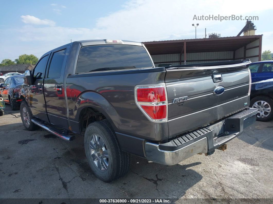 2010 Ford F-150 Lariat/fx4/xl/xlt Gray vin: 1FTFW1EV3AFC71166