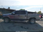 2010 Ford F-150 Lariat/fx4/xl/xlt Gray vin: 1FTFW1EV3AFC71166