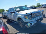 2010 Ford F-150 Fx4/harley-davidson/king Ranch/lariat/platinum/xl/xlt White vin: 1FTFW1EV3AFD54211