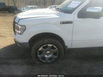 2010 Ford F-150 Fx4/harley-davidson/king Ranch/lariat/platinum/xl/xlt Белый vin: 1FTFW1EV3AFD70120