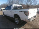 2010 Ford F-150 Fx4/harley-davidson/king Ranch/lariat/platinum/xl/xlt Белый vin: 1FTFW1EV3AFD70120