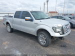 2010 Ford F-150 Fx4/harley-davidson/king Ranch/lariat/platinum/xl/xlt Gray vin: 1FTFW1EV4AFA36856