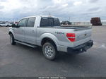 2010 Ford F-150 Fx4/harley-davidson/king Ranch/lariat/platinum/xl/xlt Gray vin: 1FTFW1EV4AFA36856