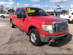 2010 Ford F-150 Fx4/lariat/xl/xlt Red vin: 1FTFW1EV4AFB03729