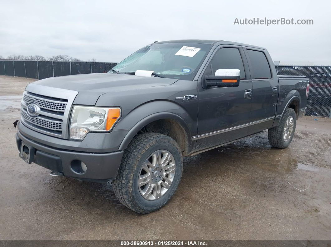 2010 Ford F-150 Fx4/lariat/xl/xlt Gray vin: 1FTFW1EV5AFA95205